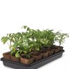 3-1/2” Square Biodegradable Pots & Tray Set  |   Seed Starting Pots & Kits INDOOR GARDEN Seed Starting Pots & Kits