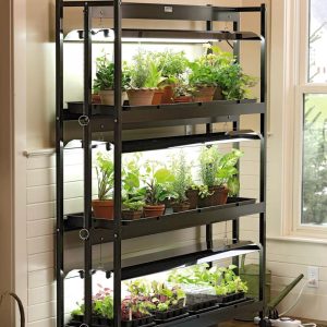 3-Tier Sunlite® Garden  |   Sunlite Grow Lights INDOOR GARDEN Sunlite Grow Lights