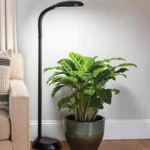 Agrobrite Floor LED Plant Lamp  |   Grow Light Fixtures & Bulbs Grow Light Fixtures & Bulbs Grow Light Fixtures & Bulbs