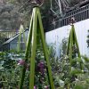 Akoris Garden Tuteur Jr.  |   Trellises & Obelisks Trellises & Obelisks Trellises & Obelisks