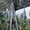 Akoris Garden Tuteur Jr.  |   Trellises & Obelisks Trellises & Obelisks Trellises & Obelisks