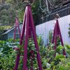 Akoris Garden Tuteur Jr.  |   Trellises & Obelisks Trellises & Obelisks Trellises & Obelisks