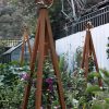 Akoris Garden Tuteur Jr.  |   Trellises & Obelisks Trellises & Obelisks Trellises & Obelisks