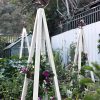 Akoris Garden Tuteur Jr.  |   Trellises & Obelisks Trellises & Obelisks Trellises & Obelisks