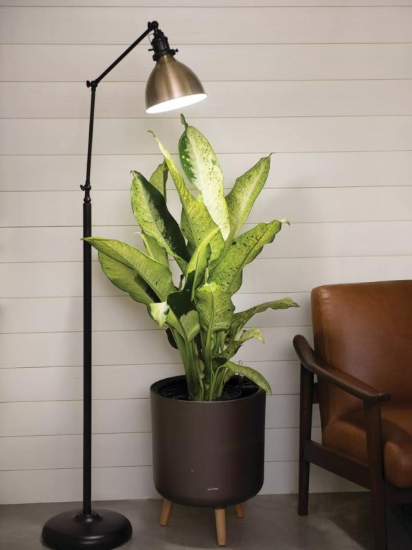 Alden Grow Lamp  |   Grow Light Fixtures & Bulbs Grow Light Fixtures & Bulbs Grow Light Fixtures & Bulbs