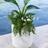 Arden Round Planter  |   Indoor Pots and Planters INDOOR GARDEN Indoor Pots & Planters