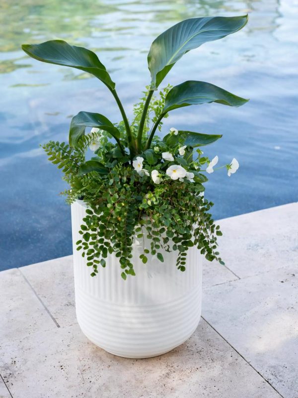 Arden Round Planter  |   Indoor Pots and Planters INDOOR GARDEN Indoor Pots & Planters