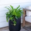 Arden Round Planter  |   Indoor Pots and Planters INDOOR GARDEN Indoor Pots & Planters