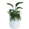 Arden Round Planter  |   Indoor Pots and Planters INDOOR GARDEN Indoor Pots & Planters