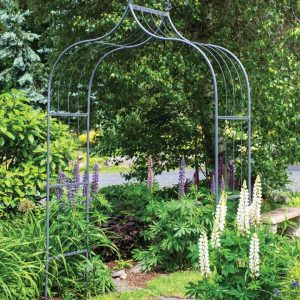 Ariana Arch  |   Arches & Arbors Arches & Arbors Arches & Arbors