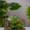 Art Decco Copper and Glass Terrariums  |   Indoor Pots and Planters INDOOR GARDEN Indoor Pots & Planters