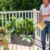 Ava Self-Watering Rectangular Planter  |   Indoor Pots and Planters INDOOR GARDEN Indoor Pots & Planters