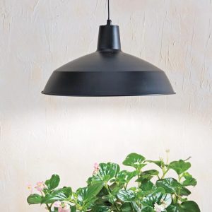 Barnyard Pendant LED Grow Light  |   Grow Light Fixtures & Bulbs Grow Light Fixtures & Bulbs Grow Light Fixtures & Bulbs