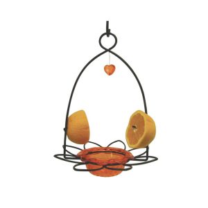 Birds Choice ™ Oriole Flower Feeder  |   Bird Feeders Bird Feeders Bird Feeders