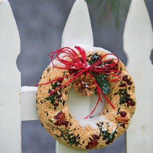 Birdseed Wreath  |   Bird Feeders Bird Feeders Bird Feeders