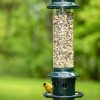 Brome® Squirrel Buster Plus™ Bird Feeder  |   Bird Feeders Bird Feeders Bird Feeders