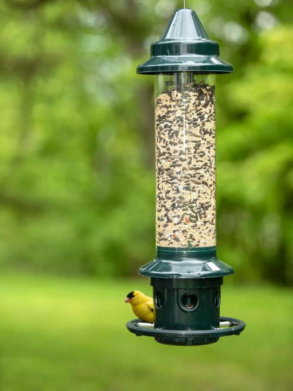 Brome® Squirrel Buster Plus™ Bird Feeder  |   Bird Feeders Bird Feeders Bird Feeders