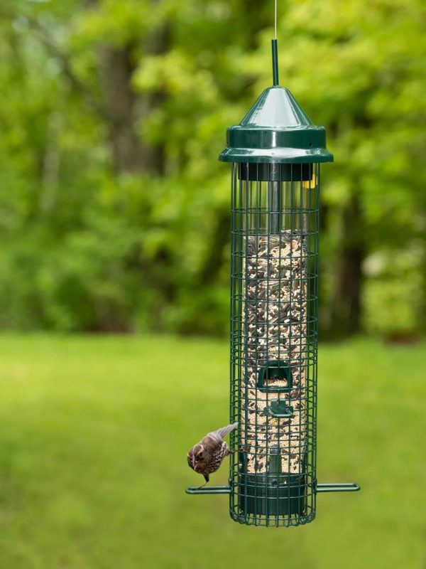 Brome® Squirrel Buster™Classic Bird Feeder  |   Bird Feeders Bird Feeders Bird Feeders