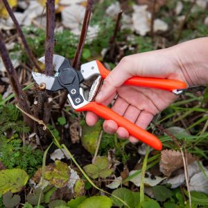 Castellari B12 Double-Blade Pruner  |   Loppers & Pruners YARD & OUTDOORS Loppers & Pruners