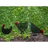 Chicken Friends Garden Stakes Set  |   Decorative Garden Stakes Decorative Garden Stakes Decorative Garden Stakes