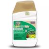 CJ Lawnweed Brew  |   Lawn Care Lawn Care Lawn Care