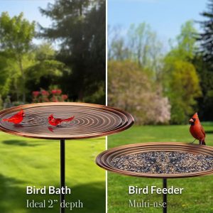 Classic Pedastal Bronzed Copper Birdbath  |   Bird Baths Bird Baths Bird Baths