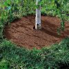 Coco Coir Tree Rings, Set of 2  |   Edgings & Mulches Edgings & Mulches