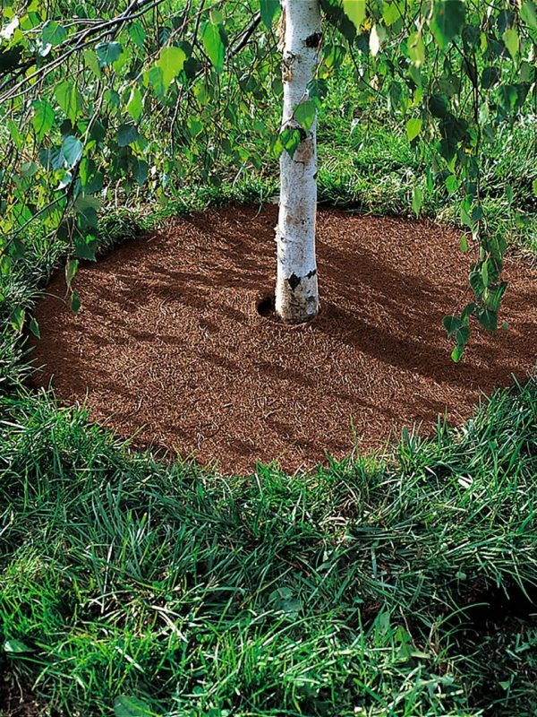 Coco Coir Tree Rings, Set of 2  |   Edgings & Mulches Edgings & Mulches