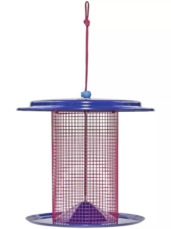 Color Pop Sunflower Seed Bird Feeder  |   Bird Feeders Bird Feeders Bird Feeders