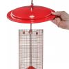 Color Pop Sunflower Seed Bird Feeder  |   Bird Feeders Bird Feeders Bird Feeders