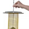 Color Pop Sunflower Seed Bird Feeder  |   Bird Feeders Bird Feeders Bird Feeders