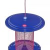 Color Pop Sunflower Seed Bird Feeder  |   Bird Feeders Bird Feeders Bird Feeders