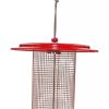 Color Pop Sunflower Seed Bird Feeder  |   Bird Feeders Bird Feeders Bird Feeders