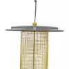 Color Pop Sunflower Seed Bird Feeder  |   Bird Feeders Bird Feeders Bird Feeders