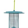 Color Pop Sunflower Seed Bird Feeder  |   Bird Feeders Bird Feeders Bird Feeders