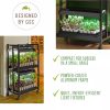 Compact 2-Tier SunLite®  Garden  |   Sunlite Grow Lights INDOOR GARDEN Sunlite Grow Lights