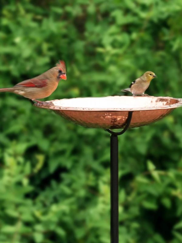 Copper Birdbath with Stake  |   Bird Baths Bird Baths Bird Baths