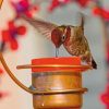 Copper Hummingbird Feeder  |   Bird Feeders Bird Feeders Bird Feeders