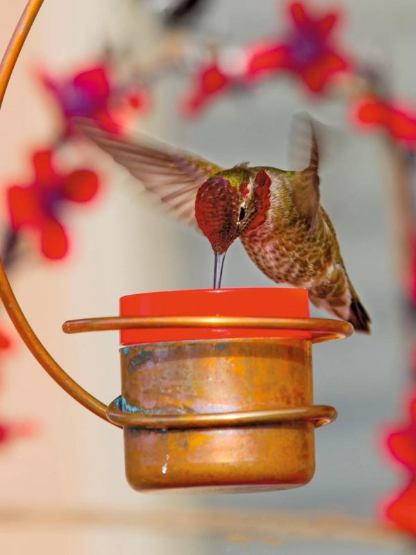 Copper Hummingbird Feeder  |   Bird Feeders Bird Feeders Bird Feeders