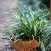 Corten Steel Animal Garden Stakes  |   Decorative Garden Stakes Decorative Garden Stakes Decorative Garden Stakes