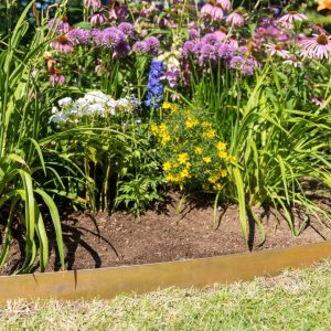 Corten Steel Edging 5″ H, Set of 3  |   Edgings & Mulches Edgings & Mulches