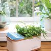 Dewplanter  |   Indoor Pots and Planters INDOOR GARDEN Indoor Pots & Planters