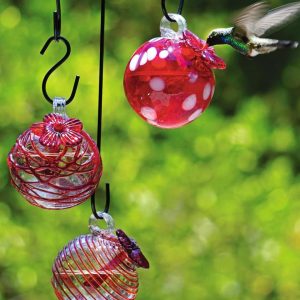 Droplet Hummingbird Feeders, Set of 3  |   Bird Feeders Bird Feeders Bird Feeders