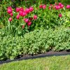 EasyFlex™ No Dig Edging, 50′  |   Edgings & Mulches Edgings & Mulches