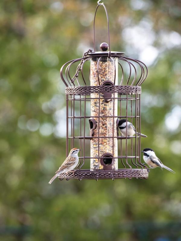 Edwardian Bird Feeder  |   Bird Feeders Bird Feeders Bird Feeders