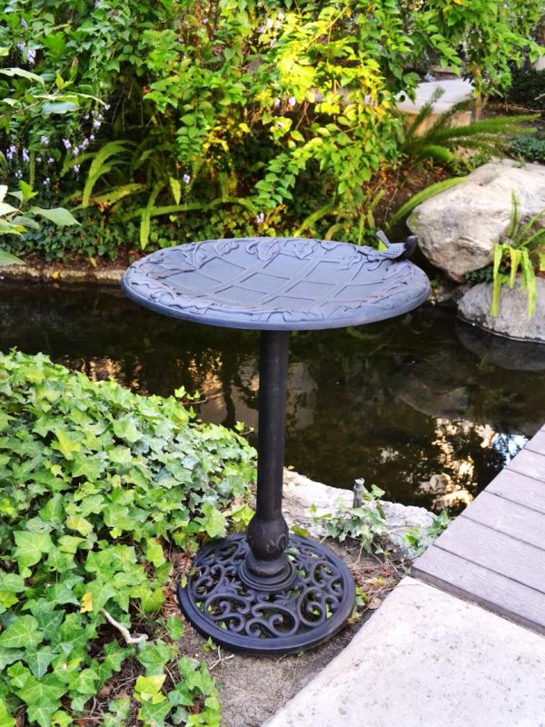 English Ivy Birdbath  |   Bird Baths Bird Baths Bird Baths