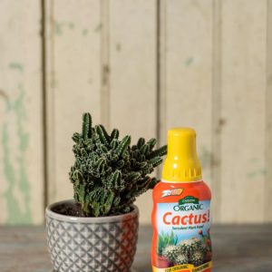 Espoma Cactus! Plant Food  |   Soils & Fertilizers for Houseplants INDOOR GARDEN Soils & Fertilizers for Houseplants