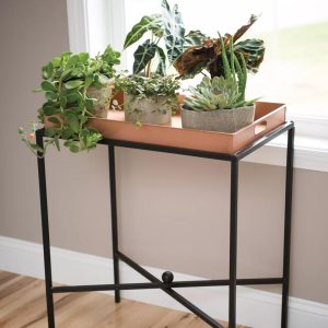 Essex Butler’s Tray Stand  |   Plant Stands INDOOR GARDEN Plant Stands