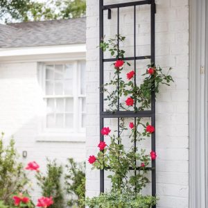 Essex Wall Trellis  |   Trellises & Obelisks Trellises & Obelisks Trellises & Obelisks