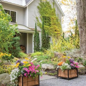 Exeter Pergola Planters with Coir Liners, Set of 2  |   Arches & Arbors Arches & Arbors Arches & Arbors